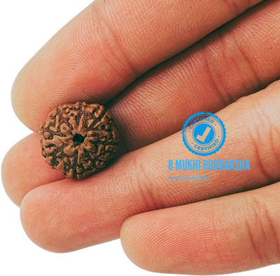 MAHANT JEWELLERY 8 Mukhi Rudraksha eight-Faced Rudraksha with detailed Puja & wearing instruction Wood Locket