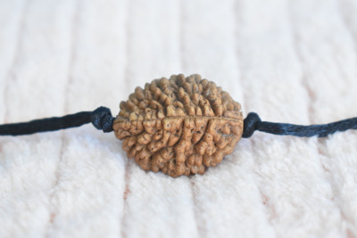 ng gems Nepali 2 Mukhi Rudraksha With Black Dori Wood