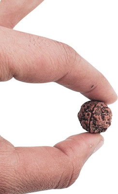 MAHANT JEWELLERY 4 Face Rudraksha Pendant Original & Certified For Men & Women 4 Mukhi Rudraksha Beads Wood Locket