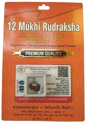 Anandam 12 Mukhi Rudraksha with Silver Capping | Lab Tested & X-ray Certified Wood Pendant
