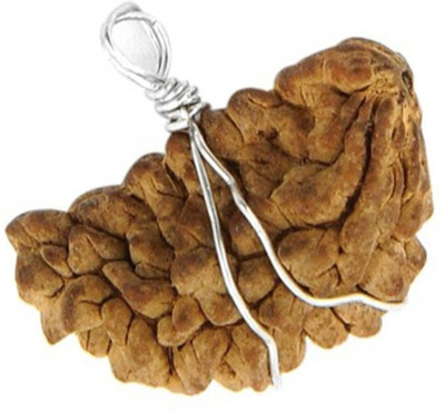 house of common 1 Mukhi Kaju Dana Rudraksha Silver Wood Pendant