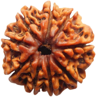 Navdurga Jyotish Kendra Stone