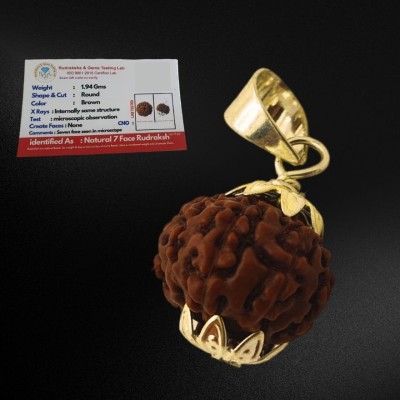 A1 yashvriddhi saat face Rudraksha Origin: Nepal Metal : Silver Coated White Metal Gold-plated Wood Locket