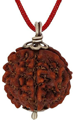 EndlessFashion 5 Mukhi Nepali Rudraksha Panch Mukha Five Face Mantr Wood