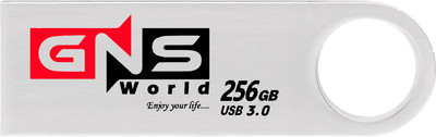 GNS World G-50 256 GB Pen Drive Compatible with Mobile, Laptop, Desktop Computer, Audio Player USB 3.0 Metal Case(Silver)