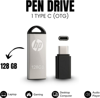 HP 128 GB Pen Drive Best Pen Drives for Data Storage 128 GB Pen Drive(Silver)