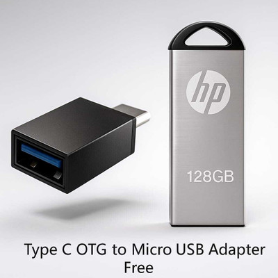 HP PEN DRIVE FAST USB FLASH DRIVE USB 128 GB Pen Drive(Silver)
