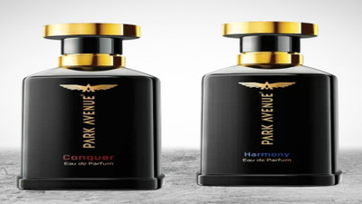 PARK AVENUE Perfume-Conquer&Harmony, Eau De Perfume Men,P2-100ml Eau de Parfum  -  100 ml(For Men)