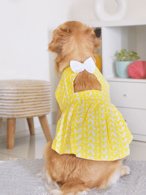Paws By Vastramay Dress for Dog(Mustard and White)