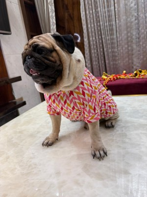 Baeship Dress for Dog(Pink)