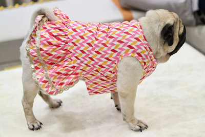 Baeship Dress for Dog(pink)