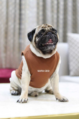 Baeship studio T-shirt for Dog(Brown)