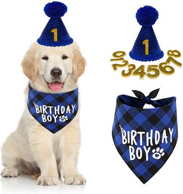 Qpets Bandana, Hat for Dog(Blue)