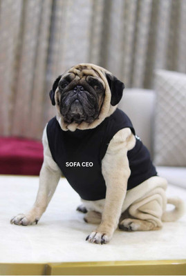 Baeship studio T-shirt for Dog(Black)