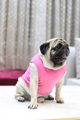 Baeship studio T-shirt for Dog(Pink)