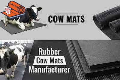Ursus Easy Clean Raised Edges Waterproof Animal Feeding Mat for Cow XL Pet Bed(Black)