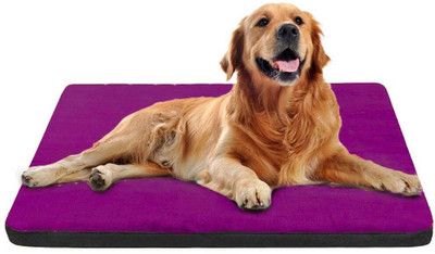 Petslover Pad Dog Mat Mattress Pet Beds Foam Cushion L Pet Bed(Black)