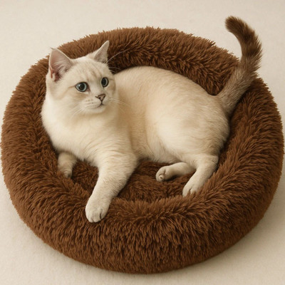 TEDDYRIBBONS TEDDY RIBBONS Best Soft Pet Bed for Cats and Dogs , Washable, Sizes for Small, S Pet Bed(Black)