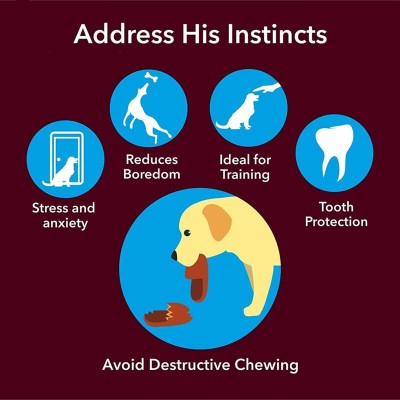 Foodie Puppies Munchy Sticks+Dog Biscuits+Chew Bones Dog Snacks Treat 1.2kg Each Pack of 3 Dog Treat(3.6 kg, Pack of 3)