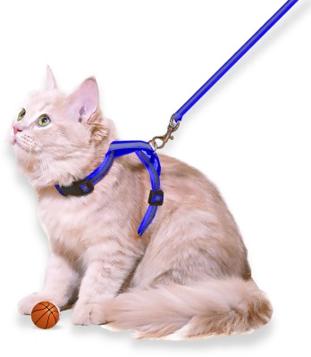 BODY BUILDING Reflective Cat Harness with Leash Set for Walking , Escape Proof Dog & Cat Harness & Leash(Medium, 0.5 Inch Blue)