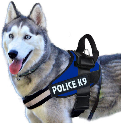 Cocker No Pull Dog Harness Adjustable Reflective Comfortable Dog Standard Harness(Extra Large, Blue)