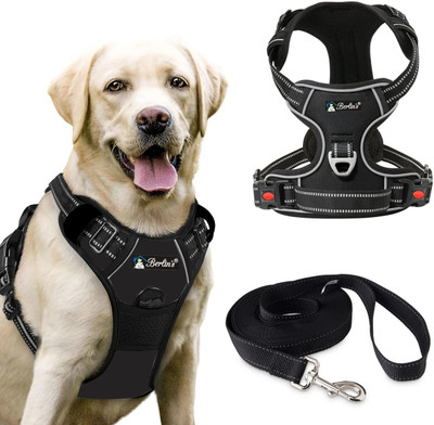 Berlin's Double Side/Body Ajustable Dog Harness with Leash Dog Collar & Leash(Large, Black)