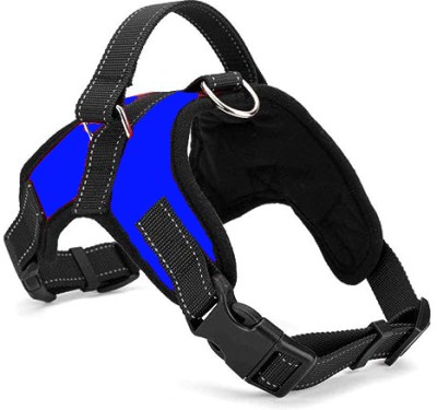 PETSPOPULAR Blue Star Adjustable Body Belt rope Combo Dog Harness & Leash(Extra Large, Blue)