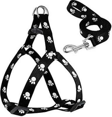 BODY BUILDING Adjustable Leash with Harness Set Printed Nylon Puppy Harness 0.5 Inch Dog & Cat Harness & Leash(Small, Black)