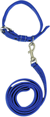 BlingPets Dog Leash and Harness Combo Set | Highly Reflective Dog & Cat Harness & Leash(Medium, Blue)