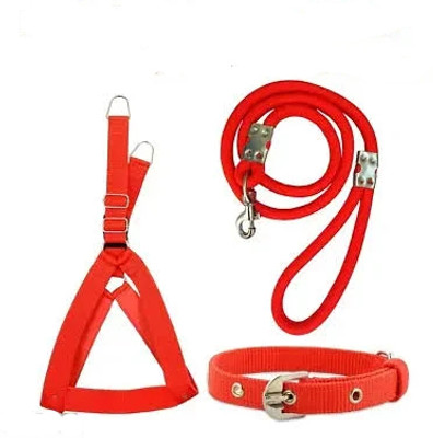 Cocker Cocker Harness PP Collar Rope Black Set Dog & Cat Harness & Leash(Large, Red)