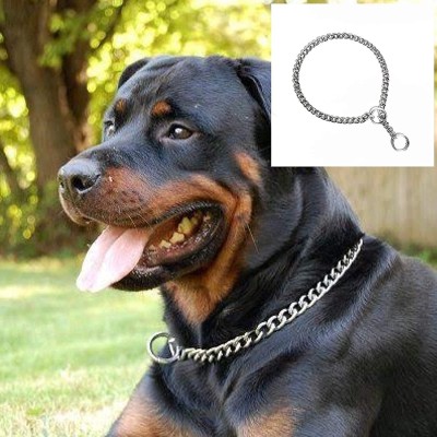 Petstorez Heavy Duty Diamond Cut Chrome Plated Metal (X-Large, 30 Inch Giant Adult) 18 cm Dog Chain Leash(Silver)