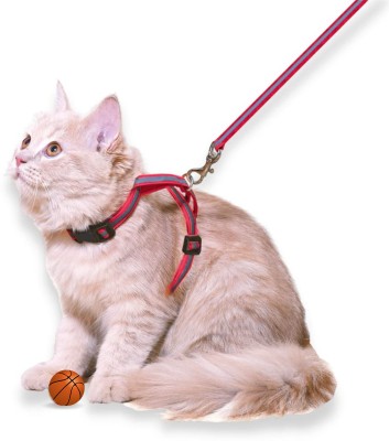 BODY BUILDING Reflective Cat Harness with Leash Set for Walking , Escape Proof Dog & Cat Harness & Leash(Medium, 0.5 Inch Red)