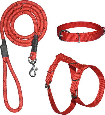 animoxkart Dog Collar & Leash(Small, RED)