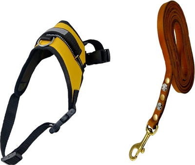 Daviloss Paws X-Small Adjustable Neck 14-16 Inch Chest Size 19-24 No Pull Reflec Leather Leash Dog & Cat Buckle Harness(Extra Small, Yellow)