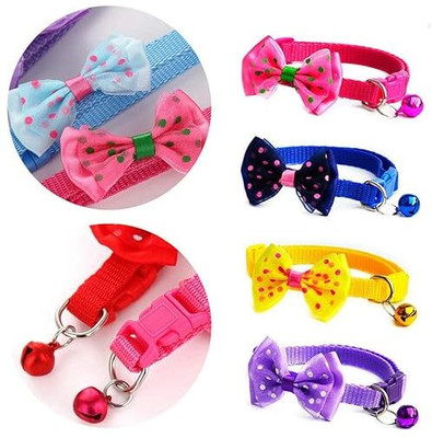 BODY BUILDING Dog & Cat Everyday Collar(Small, 0.5 Inch)