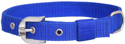 KLASSY Dog Everyday Collar(Small, Blue)