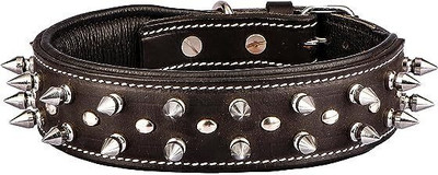 Sparrow Daughter DCL-SD-5 Dog Everyday Collar(Extra Large, DARK BROWN)