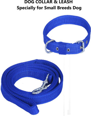 Quickato Dog Belt Combo of Blue Dog Collar with Dog Leash Specially for Small Breeds Dog Collar & Leash(Medium, Blue)