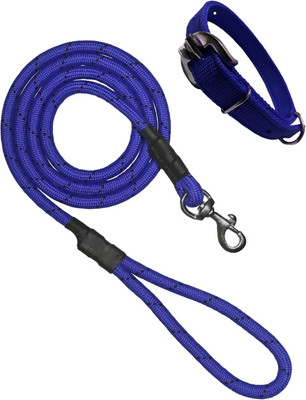 animoxkart Dog Everyday Collar(Small, Blue)