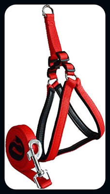 ALCAZAR Dog Harness & Leash(Medium, Red)