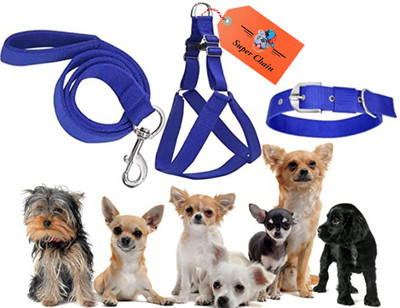 SUPER CHAIN Nylon Dog Collar with Soft Padded Dog Harness Collars Leash Harness Combo Dog Collar & Leash(Small, BLUE)