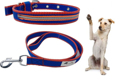 FOREVER99 Dog Collar & Leash(Extra Large, Blue)