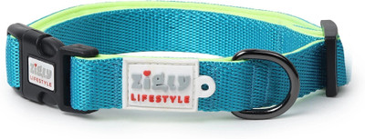 ZIGLY Lifestyle Classic Padded Dog Collar for Dog Neck Belt | Strong & Durable (15 mm) Dog Everyday Collar(Small, Neon Green)