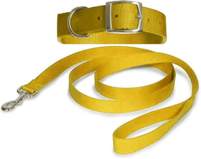 HOUSE OF COMMON Dog Belt Combo Specially for Small Breeds - Yellow Dog Collar & Leash(Medium, Yellow)