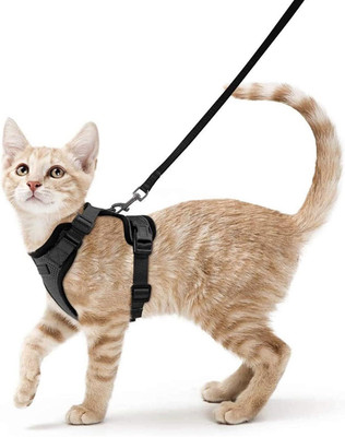 FOREVER99 Puppy & Cat Walking Escape Proof Soft Adjustable Vest Easy Control Breathable Dog & Cat Harness & Leash(Medium, Black)
