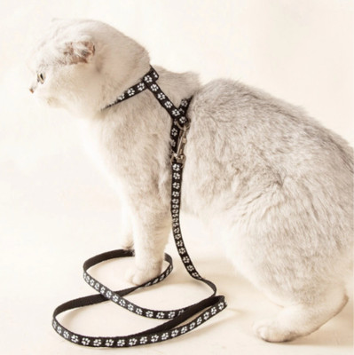 DogTrust Suitable for small to medium kitten Dog & Cat Harness & Leash(Small, black)