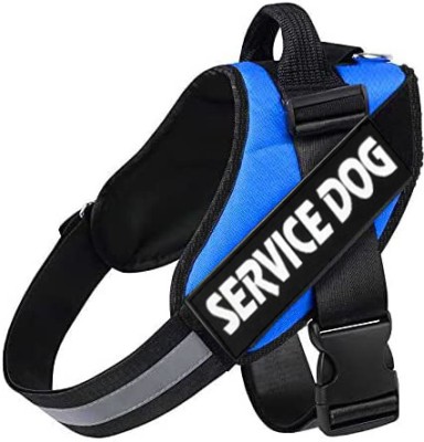 HOUSE OF COMMON Dog Safety Harness(Large, Blue)