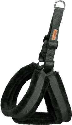 Petshop7 Dog Harness & Leash(Small, Black)