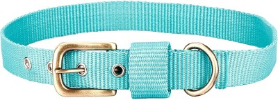 Sparrow Daughter Nylon Dog Collar | Neck Belt For Dog Collar- 22 X 1 Inch Dog Everyday Collar(Extra Large, Torque)