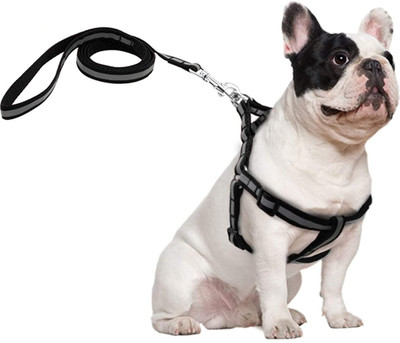 AKEnnterprises 15mm Nylon Reflective Dog Harness & Leash for Small Medium Dogs Puppy MultiColor Dog Harness & Leash(Medium, MultiColor)